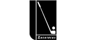 Empresa 13