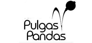 Empresa 15